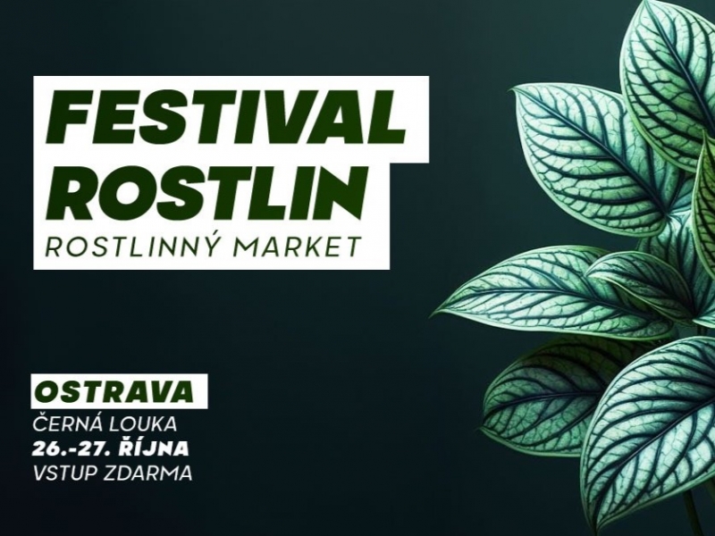 Festival rostlin